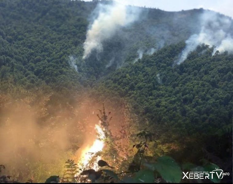 Ağsuda 300 hektar ərazini əhatə edən yanğın söndürüldü - VİDEO