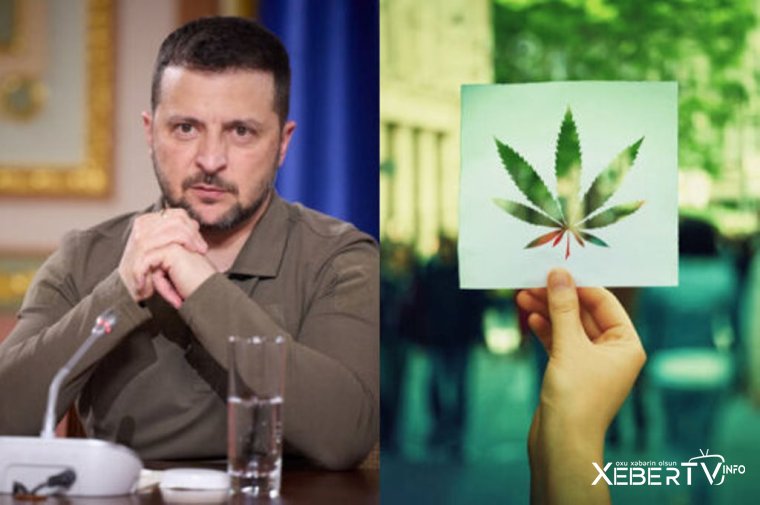 Zelenskidən ukraynalıların müharibə ağrı-acılarının dinməsi üçün təklif: “Kannabis leqallaşdırılsın”