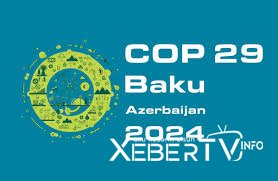 Ayrılmaq istədiyini klub rəhbərliyinə bildirdi – Millimizin yarımmüdafiəçisi